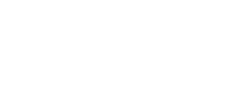 CASECREATION LOGO